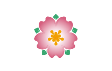 Returning Care & Health Home